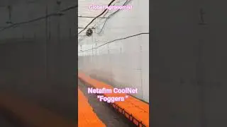 Netafim CoolNet | Foggers | 