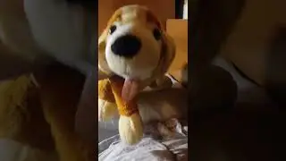 Тефтеля 