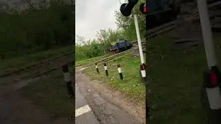Тгм4 1954 с полувагонами  на переезде