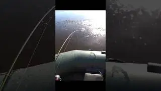 Спиннербэйт ЩУКА