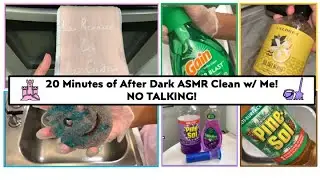 ✨👑💜 La Reina de la Casa Cleaning! | 20 Minutes of After Dark Cleaning ASMR | NO TALKING! 💜👑✨