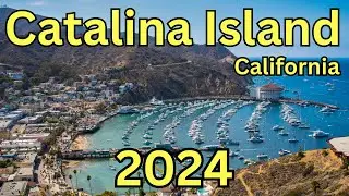 Catalina Island: 20 Epic Things to Do in Catalina Island 💕