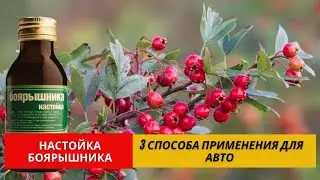 Настойка Боярышника | Обязательно Вози В Машине