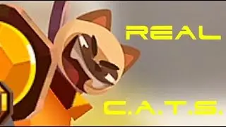 REAL CATS. Crash Arena