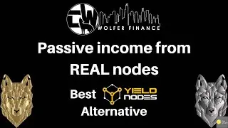 Wolfer Finance - Passive Income from REAL nodes - Best Yield Nodes Alternative