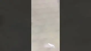 1 июня 2021 г.