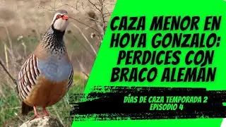 CAZA MENOR EN HOYA GONZALO: PERDICES CON BRACO ALEMÁN | DÍAS DE CAZA