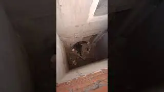 23 июля 2020 человек упал на яму