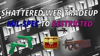 Canals Milspec to Restricted Trade up!