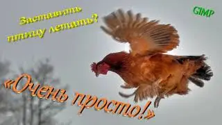 Очень просто #2. Как создать GIF-анимацию без фона из .jpg изображения?