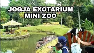 Naik Kapal Bebek Dan Kasih Makan Satwa Jogja Exotarium Mini Zoo
