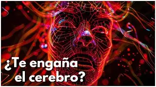 ¿SOMOS ENGAÑADOS POR EL CEREBRO?