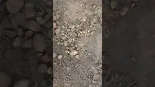добурили до камней