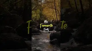 My Top 10 Favorite Fonts | Free to Use😍 