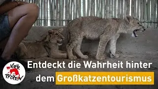 Tierisch wild oder nur äußerst profitabel? | VIER PFOTEN