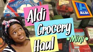 Mini Grocery Haul | Aldi | Weight Loss Journey
