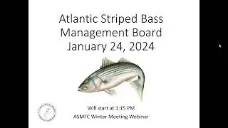 Atlantic Striped Bass Board Proceedings January 2024