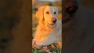 Marre de rater tes photos ? Essaie ceci.