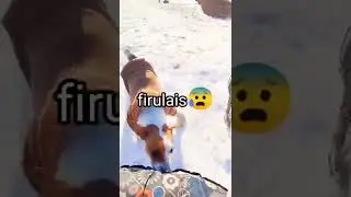 Perro arroja a dueño por colina 😦 #Shorts firulais maldoso