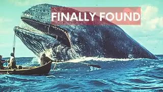 An Ancient Terror at Sea The Mysterious Whale That Hunted Ships of the Roman Empire