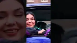 Диалоги тет-а-тет с Егором Шипом. МЭШАП, мем-шап, (Тикток мем)
