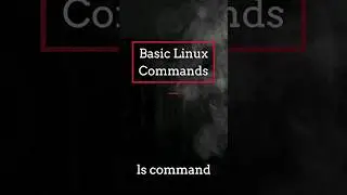 Basic Linux Commands for Beginners | Important Linux Commands 