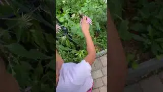 Visit a Butterfly house with us 🦋 #butterfly #outdoors #fyp #family #happy #sundayfunday