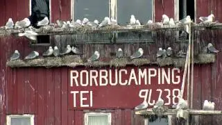 mitt i naturen del 3 av 5