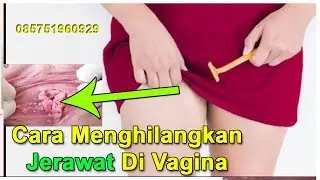 Jerawat Di Vagina Apakah Berbahaya ??