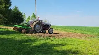 8n discing garden