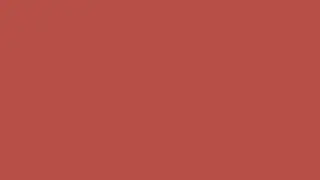 4K DEEP CHESTNUT SCREEN #B94E48