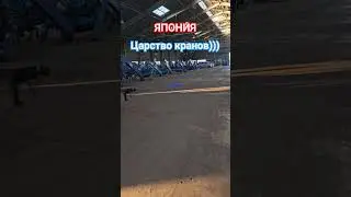 Зашёл в гараж, а там...   