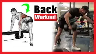 The most effective back wing movements