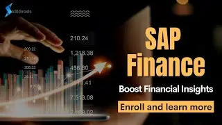 Mastering SAP Financial Accounting (FI): Streamline Transactions & Boost Financial Insights!
