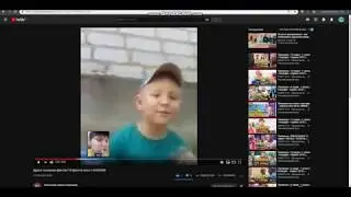 Драка кота и 2 собак