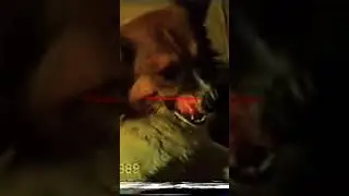 Отажон Худойшукуров