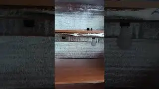 🤔Стеллаж для рассады своими руками 
