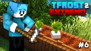 IMPROVISANDO CONTRA EL HAMBRE - TFROST EXTREMO 2 #6