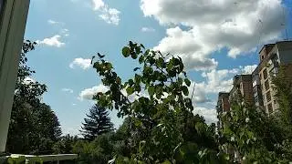 Между небом и землей - ласточки