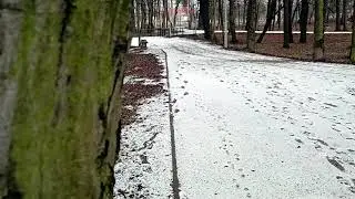 Zima w powiecie oławskim - luty '25