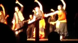 Job Romero Flamenco Performance 