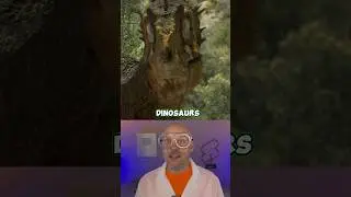 How Dinosaurs sound