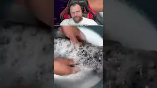 Петренто Видяха 