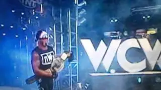 That fool hogan