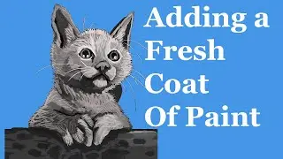 Transforming This Adorable Kitten With A Fresh Coat Of Paint For Their Fur!