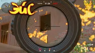 SURVARIUM Первый раунд #1