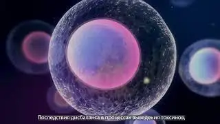 Нужен ли Детокс на самом деле? | Дарья Киншт