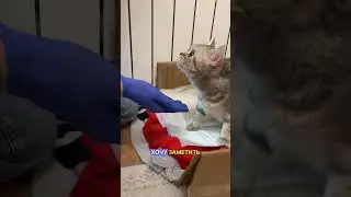 We didn't expect such complications after birth 