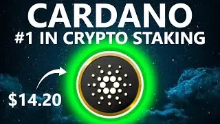 Cardano STAKING | My FULL Review