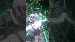 2023 Ақмешіт үңгірі және Домалақ ана кесенесі